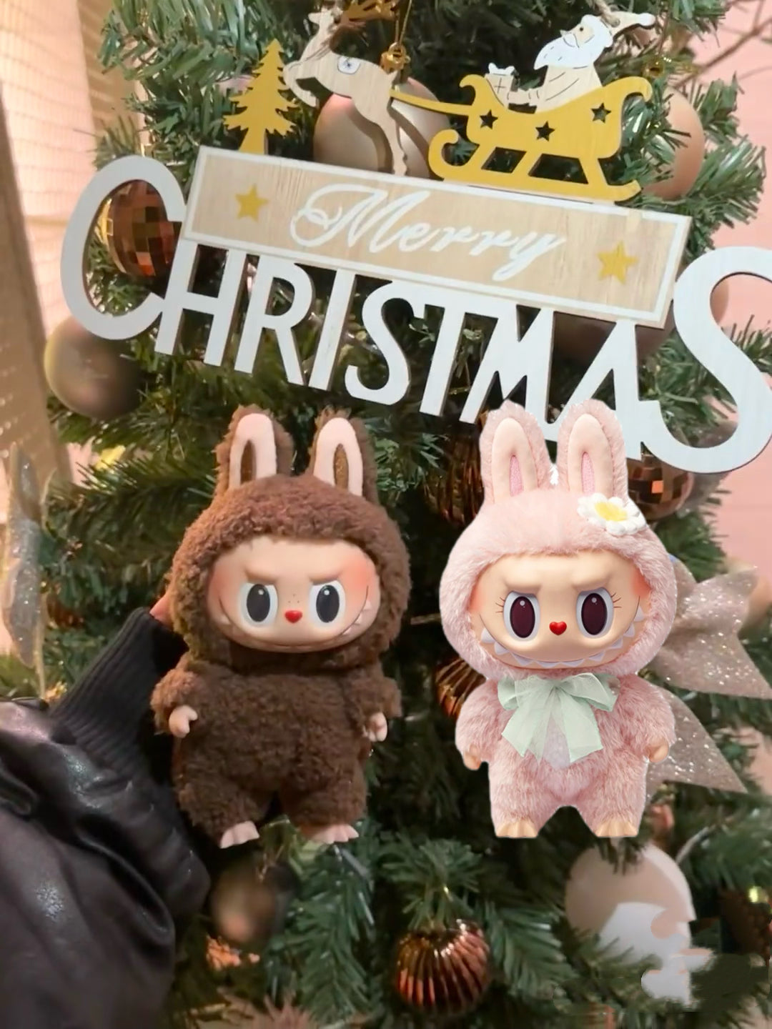 Mokoko+Zimomo